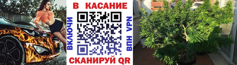 Где продают наркотики Новотитаровская Бошки Шишки  APVP  Гашиш  Меф мяу мяу 