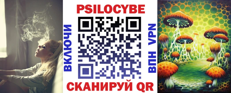 Галлюциногенные грибы Magic Shrooms  цены наркотик  Новотитаровская 
